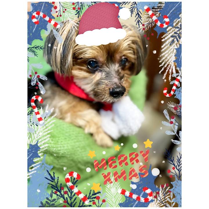 430aa5a6 30f2 4280 a94f a7c966ac51e9 1671952913014