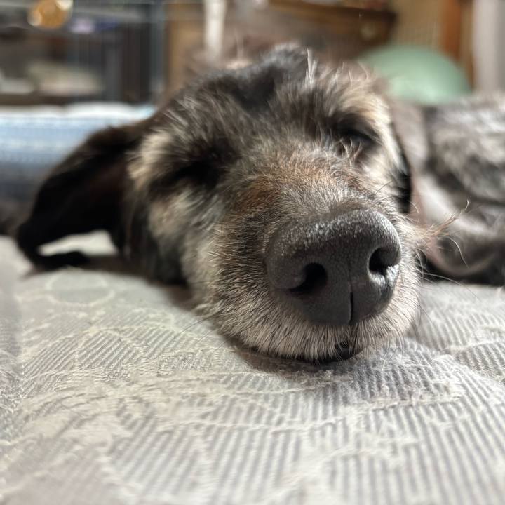 430aa9cd 4f41 4576 bc08 1880af93cf75 1759705964585