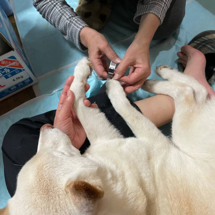 430ad91d d8ba 485b 92ae de45e9221cfd 1637930535625