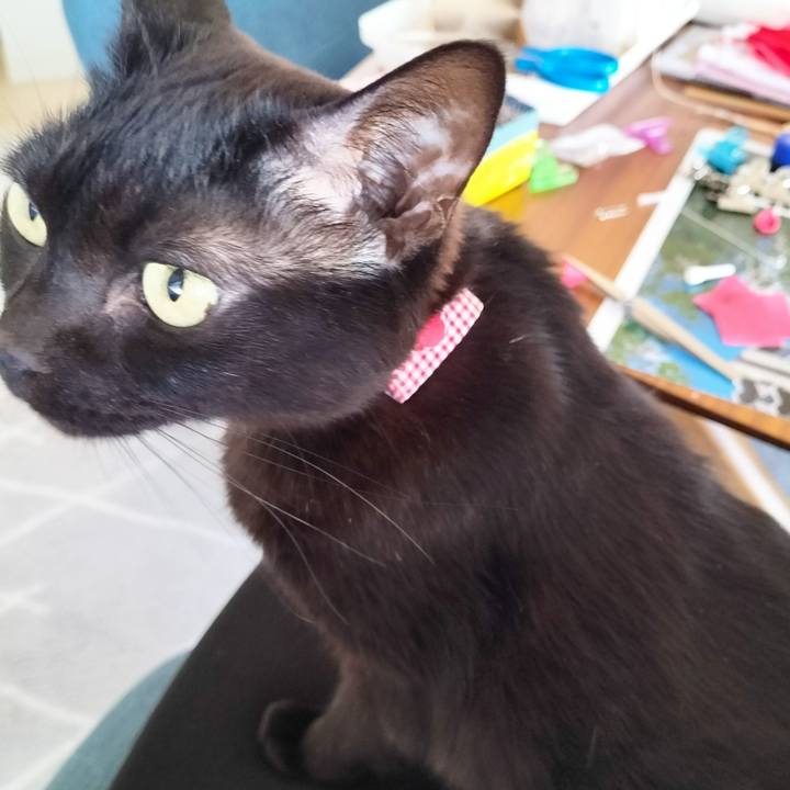 430aeefe 02e9 4002 bc76 f20fead958be 1707288198357