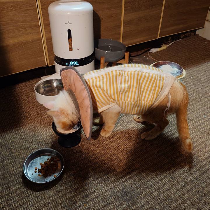 430b0c9d 1697 4202 a3dd a2624a542b1b 1761486356151