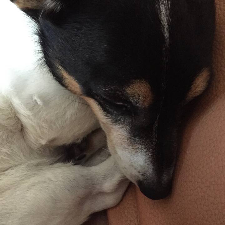 430b3c4c dba3 467b 85dc 644c5eb69a30 1508718387233