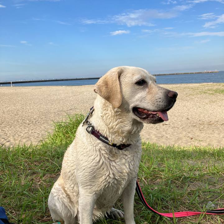 430bc24f 5ea9 465a a82f 0cb3806fd75a 1659321716575