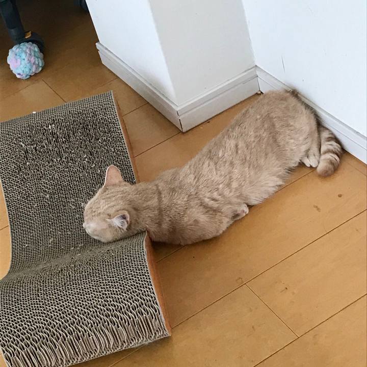 430bcf97 ce5a 41cf 8648 20181b08d349 1525073409945