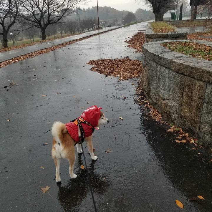 430bef12 afd3 4450 85b7 97fb3c2d1e67 1668922087788