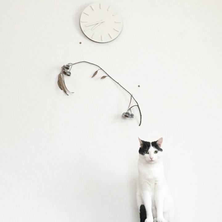 430c07b8 96f8 4820 8129 c8c458484a40 1528584874652