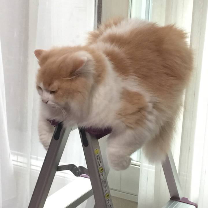 430c173b abf1 429a 8911 3d3373770158 1559290421446