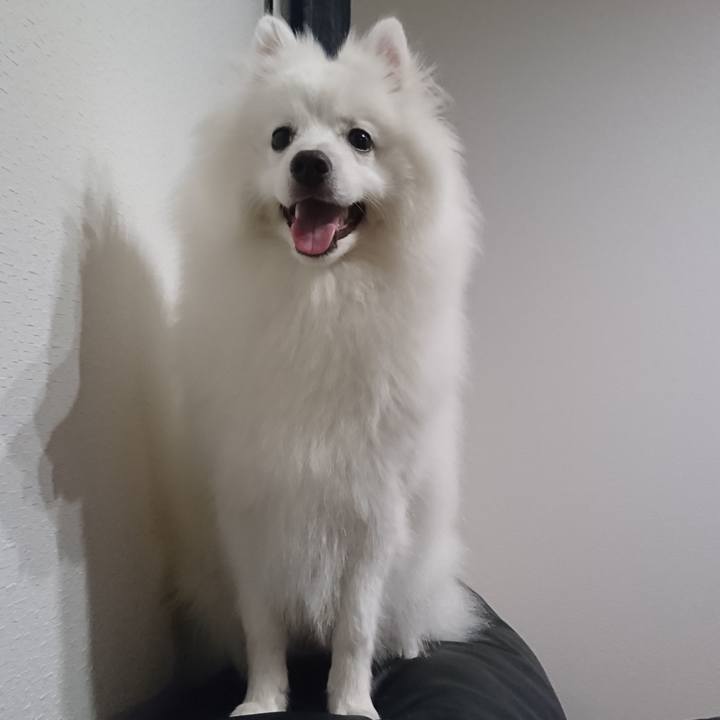 430c2f40 d8e8 4e59 9835 5f0150b4a4ca 1560598697063