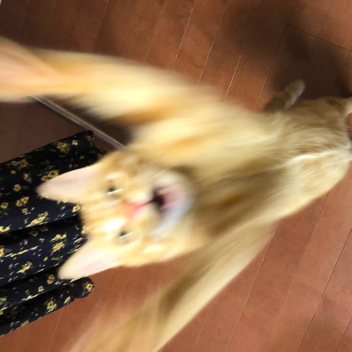 430c2f78 f3e7 4c20 8fe6 e1080b8d92f1 1573566715016