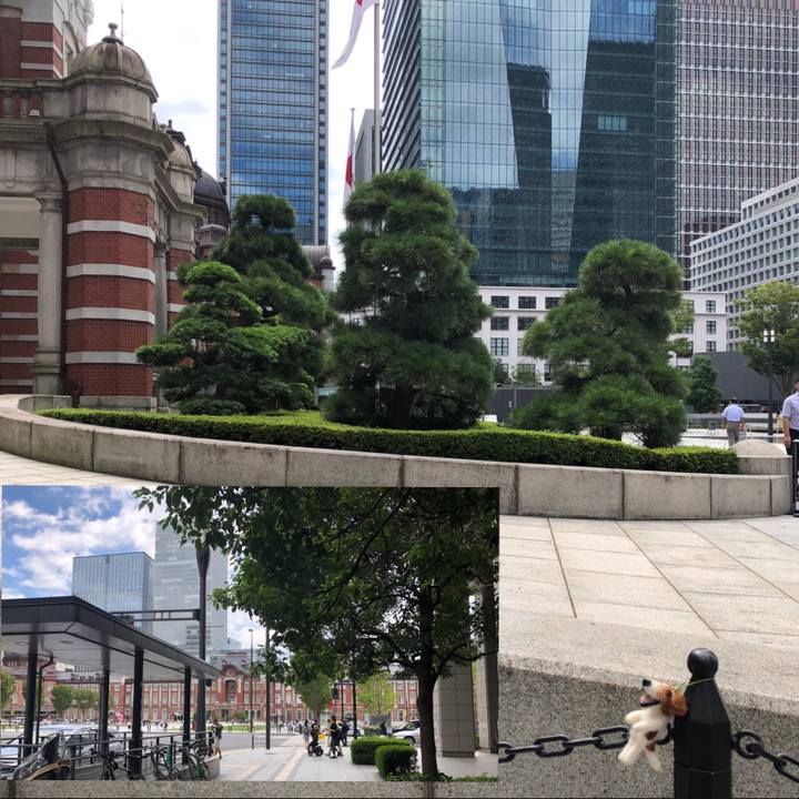 430c4584 bc67 4d9c 9ba0 54007c5efd2b 1568255934814