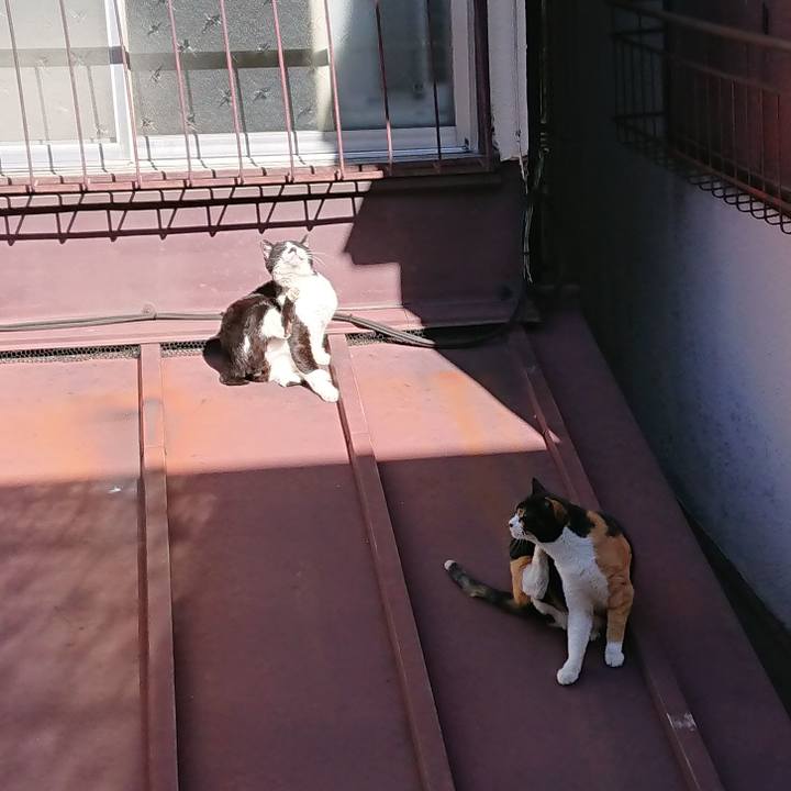 430c5b30 cb87 43a3 afdb 54572292dd86 1581216585837