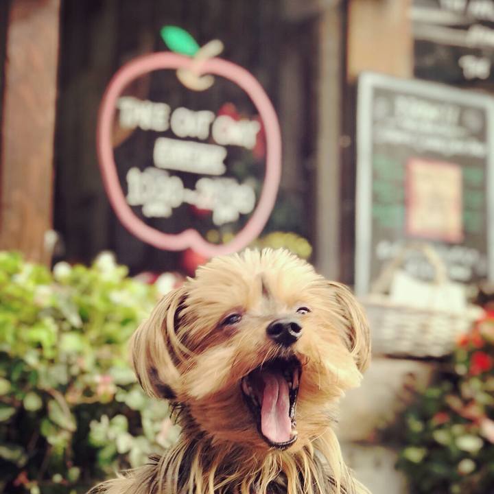 430c676e 7798 40cc ac31 d3e080499c6a 1510717186704