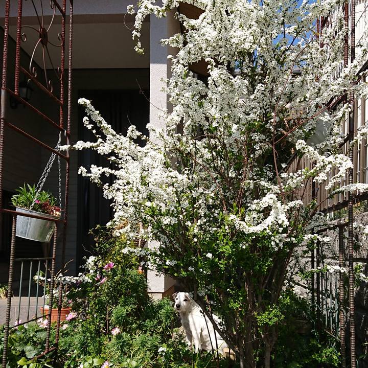 430c6ca0 59df 40d4 8792 7816477b2e82 1552692601626