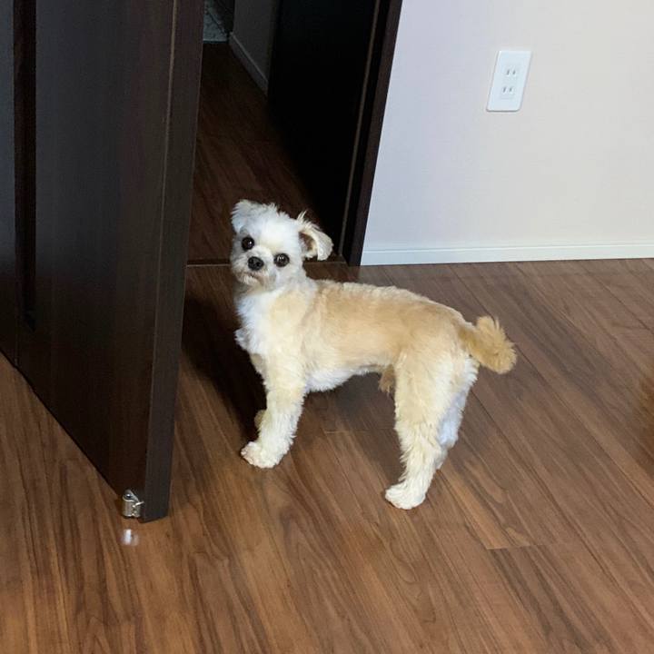 430c6e78 1abc 464d a620 66a30fb751e9 1572001863627