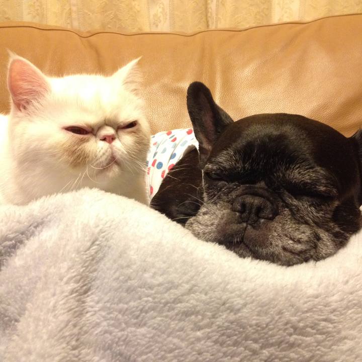 430c8294 cb6a 43f7 a303 752cfa1ef3d3 1510048574551