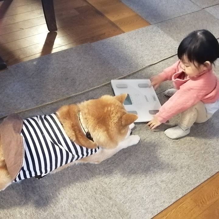 430cc1d0 385b 4d47 8276 7f71c0d44d82 1704690062043