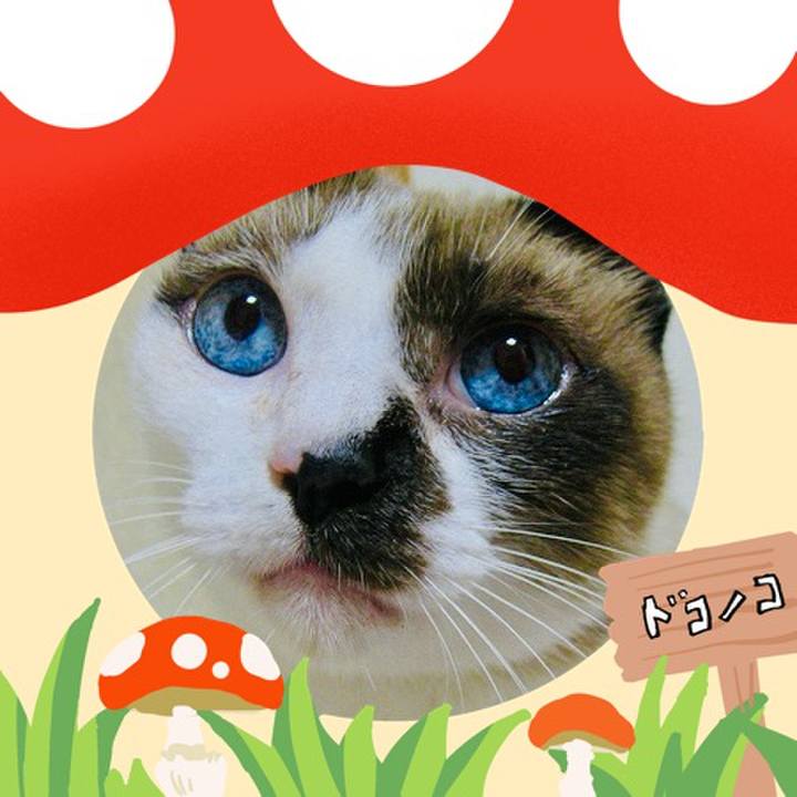 430cd947 b024 41a1 8286 ed1fb1e3045e 1729128523313