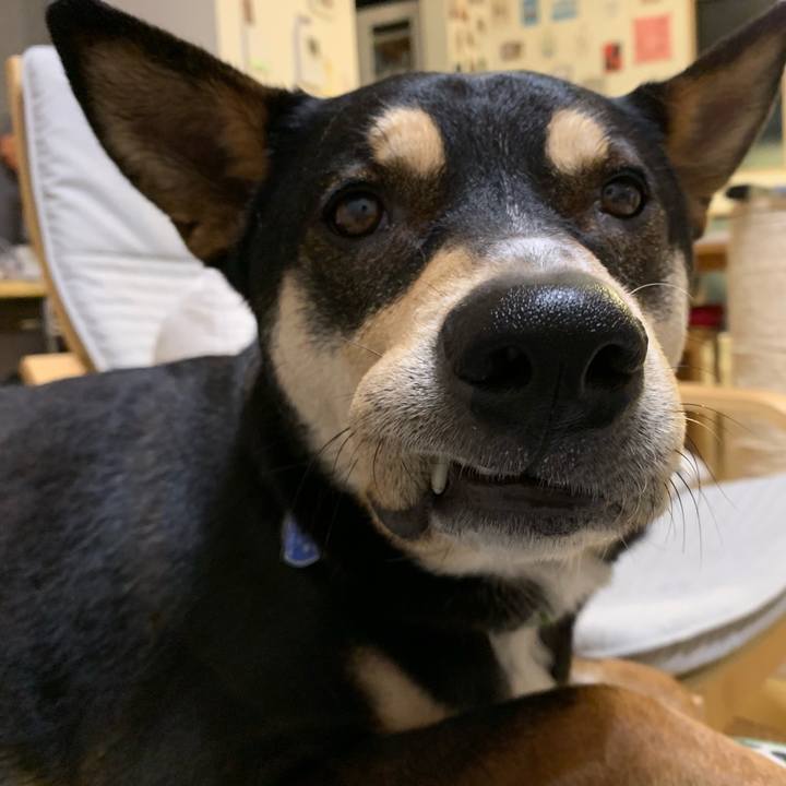 430d0aed 5ec0 4f51 9ca1 8a8d4e6cf813 1549844552237