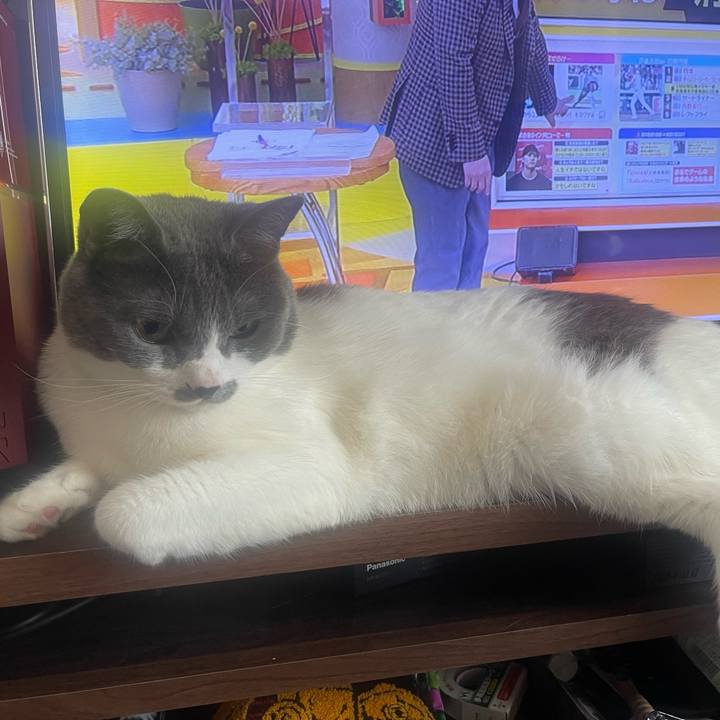 430d52c1 6288 4eb6 9396 653c197a3803 1650596659988