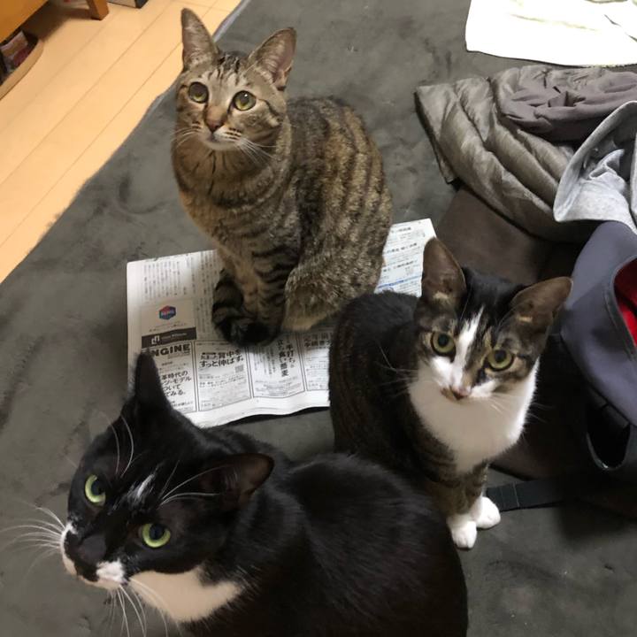 430d7b7b 7136 4fc3 90a8 50d3880acffa 1638113881155