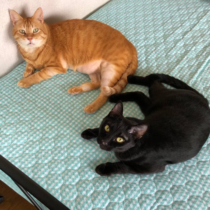 430d9cc6 a451 499a 8a4d eed88ecda312 1660027940313