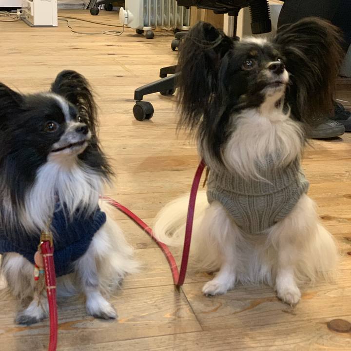 430dfb38 2306 47bd b393 df4c8149f06b 1549696923948