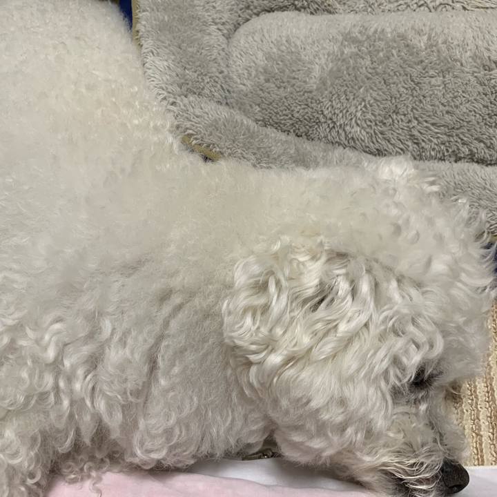 430e19f4 d243 4ad1 9d5f 950ba6f3876e 1555935522496