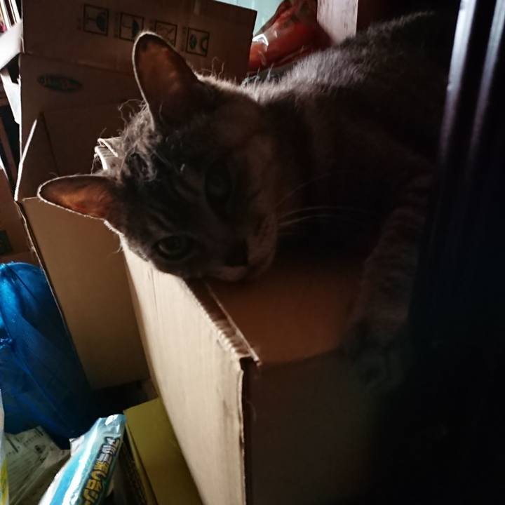 430e6f0d e360 4774 aa98 550b22e90456 1564690944065