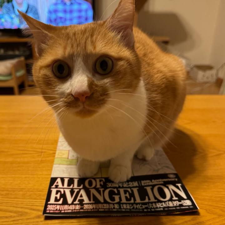 430e896f 7fd0 4d58 a97a 4cee4e82ad0c 1765705800876