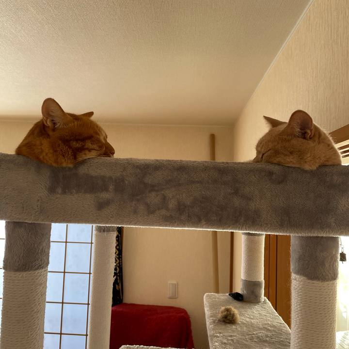 430eb783 ea6c 4fd9 8276 e0be6b2db812 1630325565281