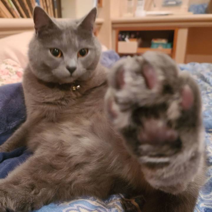 430eb81e 4e06 463a 88d1 88ce5b0e2dc4 1619513386348