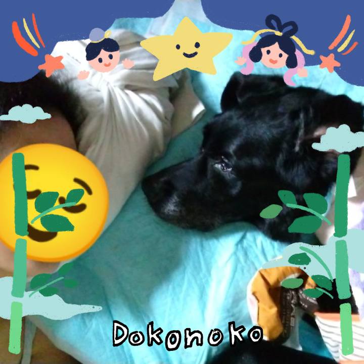 430f2257 15d7 44ab b194 b8c992d342df 1720995987551