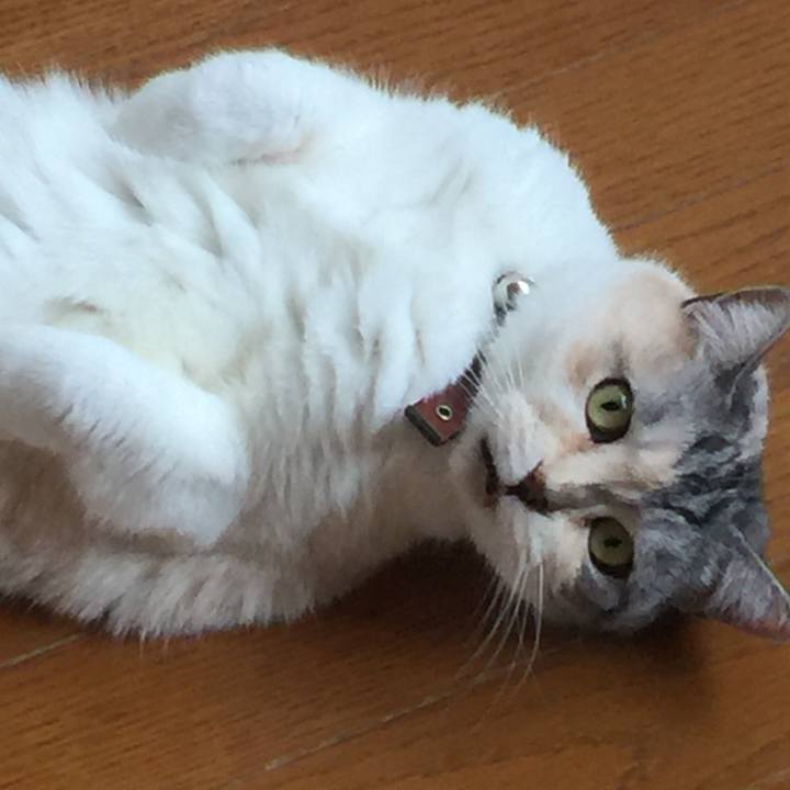 430f4819 6e75 4dd3 96c0 f2f53f9545d6 1552718363870