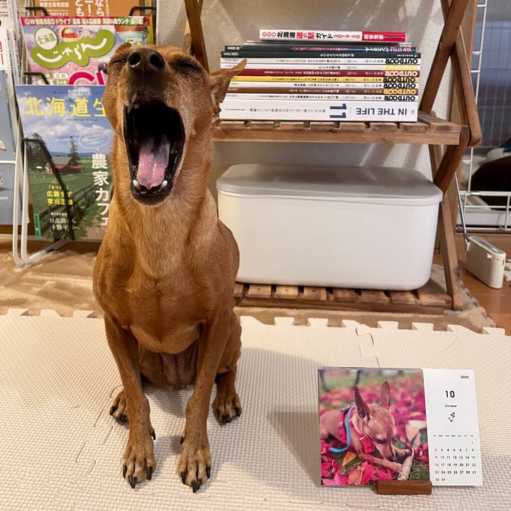 430f5b93 8419 4952 8ac7 73a963abd43c 1664570417211