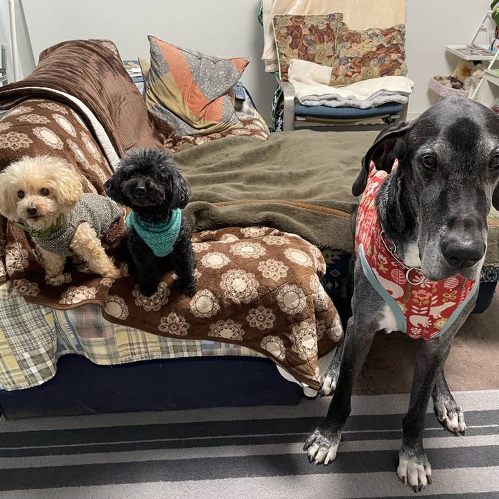 430f935a 431d 473e 8954 7d4eaa064dec 1643841097950