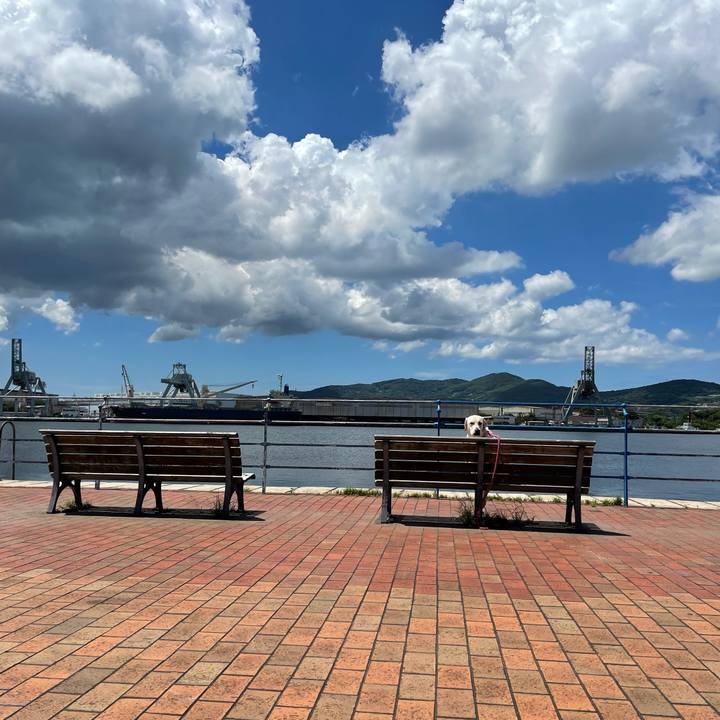 430f9f21 d3ff 4d1f 9192 70ef4b2d000f 1628342620071