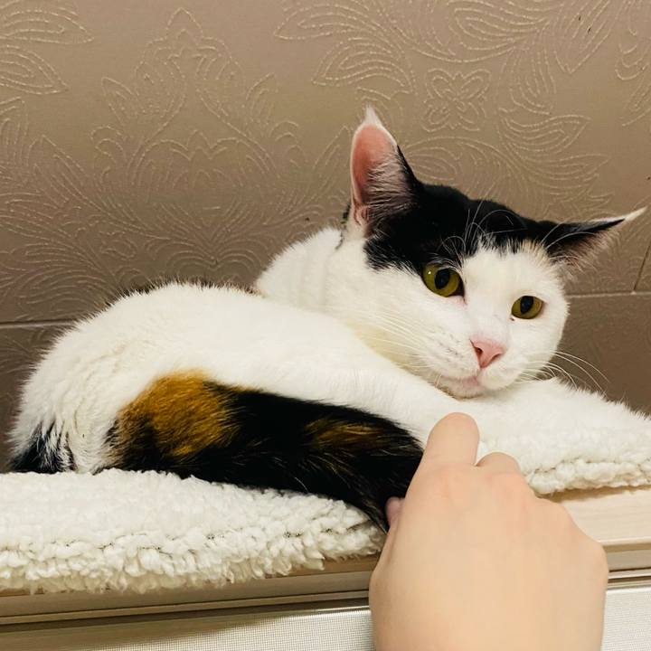 430fc590 0a64 4afb a35a 55963e03eee8 1672847827276