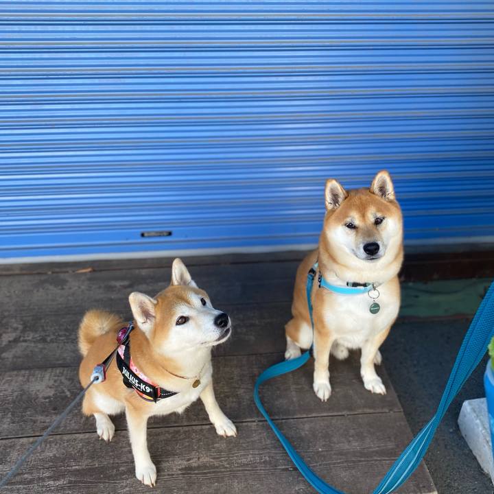 43100665 76a7 4601 a688 f65ff04b3c4a 1602209663326