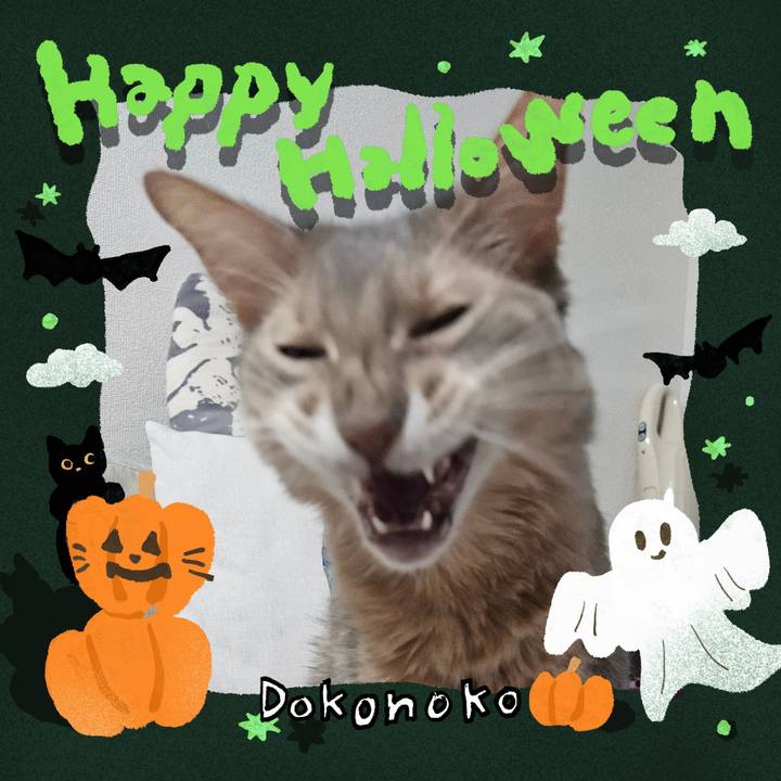 4310205c 1ac4 4f8f 9664 317818e6533c 1730360651257