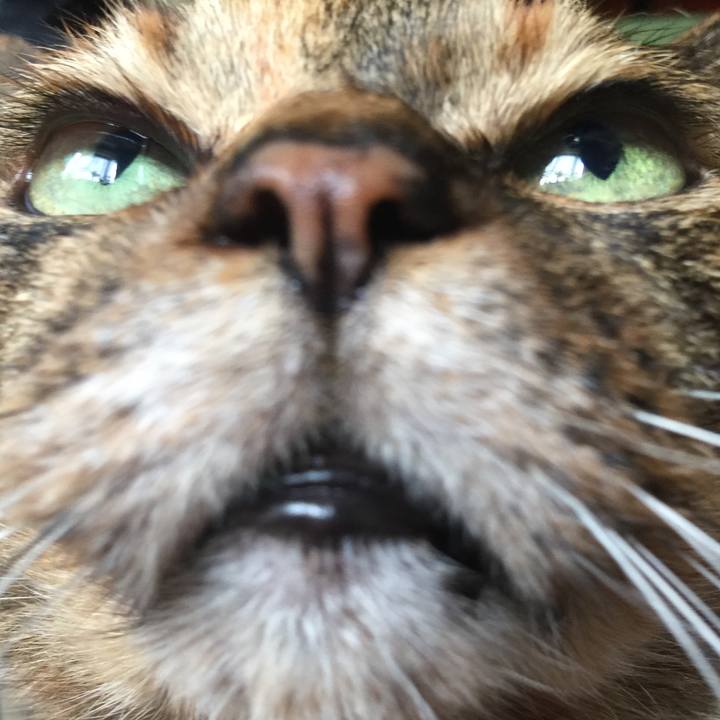 431023e7 98bd 461e 9fee 070901503d63 1597359131916