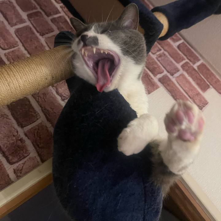 43103be2 b93a 47cc b9d7 bbb6dfc9d2fe 1741783498086