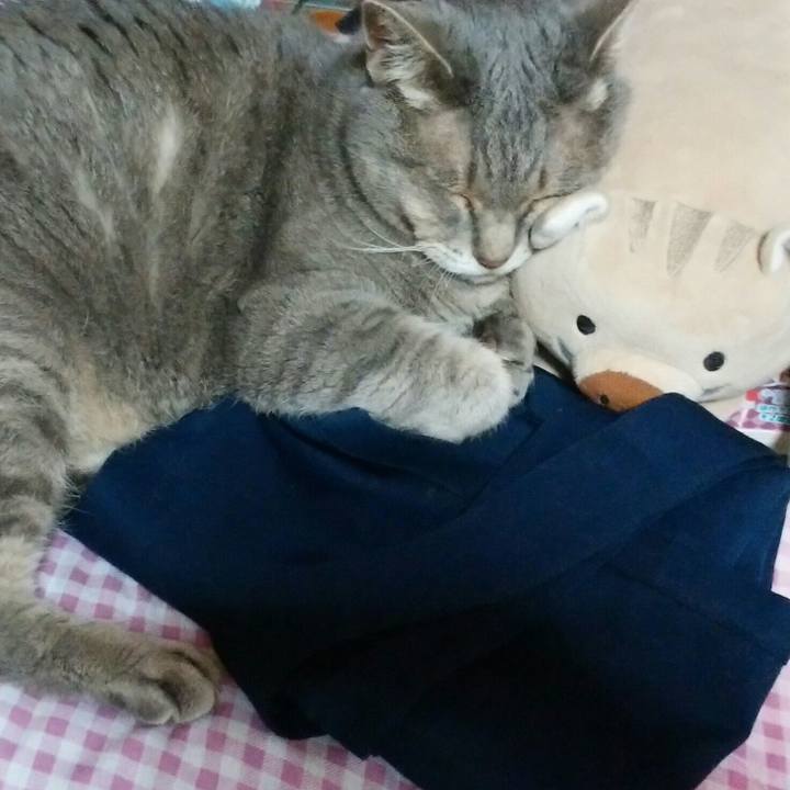 43105736 8cda 41b0 9866 ecca394a8a3b 1593002260091