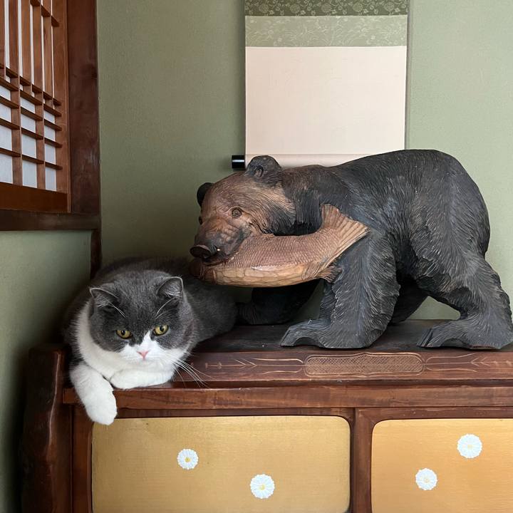 431062fb f473 445e a446 4482edab175e 1666012658600