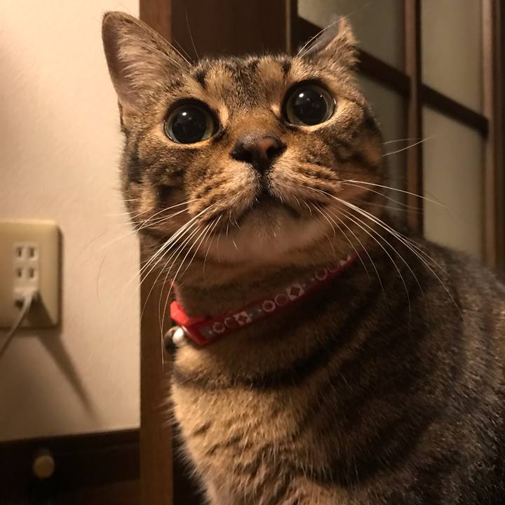 43107629 57fe 4b06 96b4 131bda8e2637 1636028080519