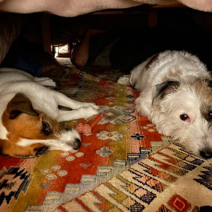 431085fb 0542 4387 9394 15d52eeb18fe 1670246631875