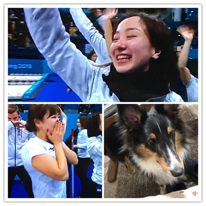 4310ba9b c894 4b6e b955 85cb6b336edd 1519479928644