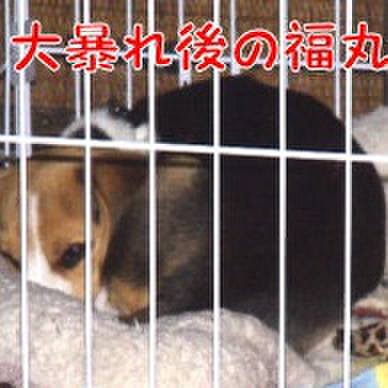 4310bed2 dd18 4360 9f19 0b25cfc9290f 1773187351585