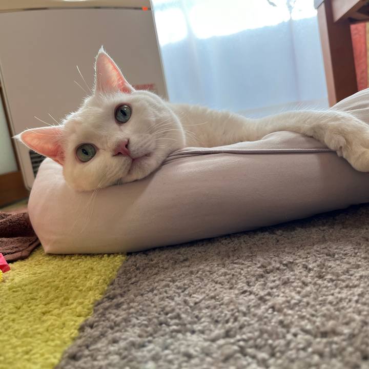 43110118 9b5c 43f5 9b61 ea50eaa626cf 1704201579360