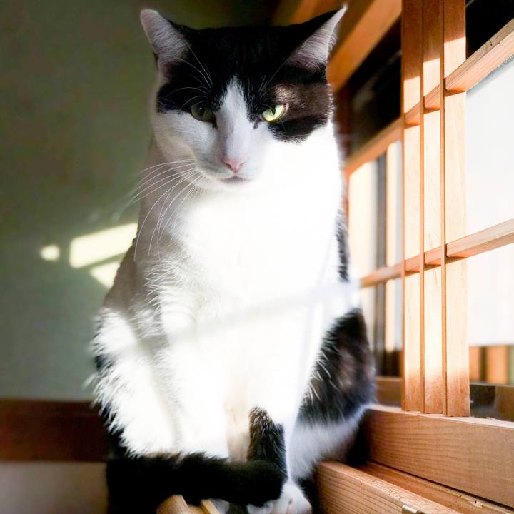 43110563 1bed 4329 8cbc 76cd71cc6854 1515719747099