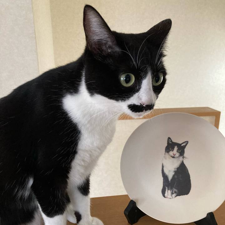 431115e2 c941 47f4 b7ab 097712f7404e 1728262833631